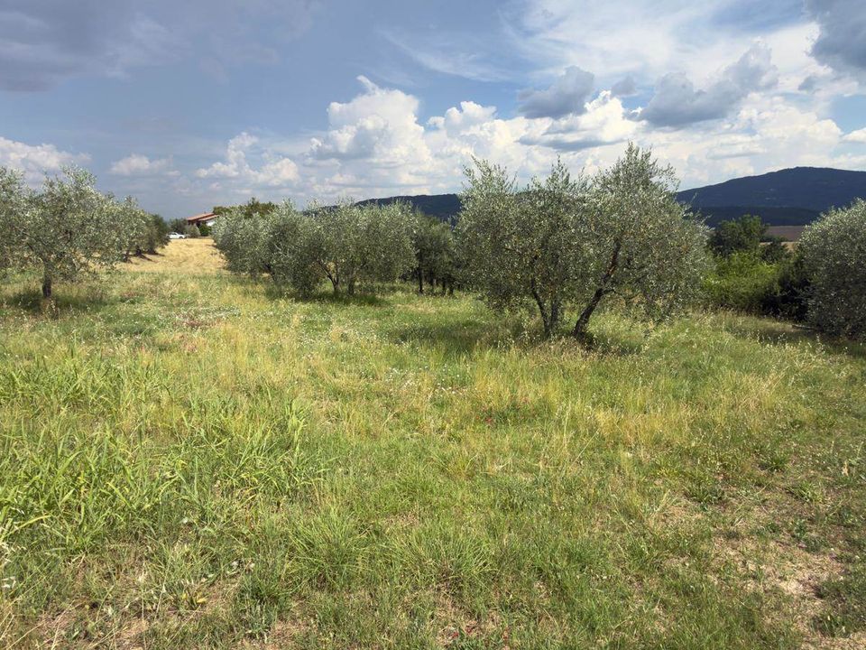 Terra a Panicale, Perugia - foto 4