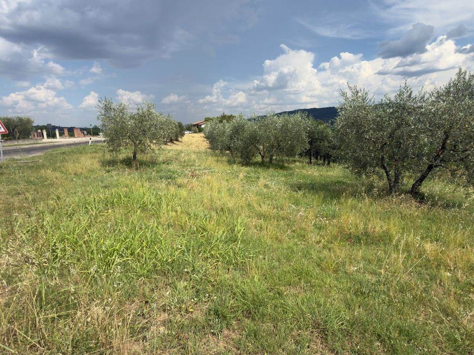 Terra a Panicale, Perugia - foto 5