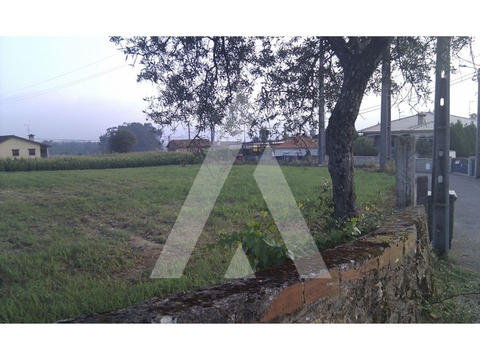 Helårsgrund i Oliveira de Azemeis, Aveiro - foto 3