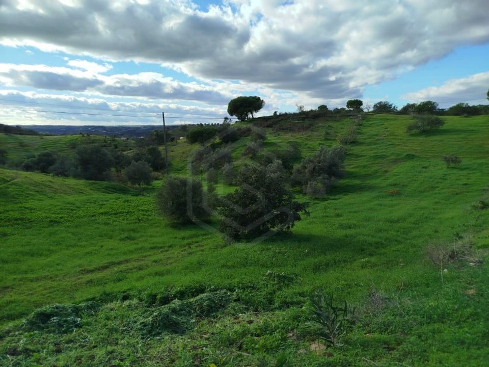 Helårsgrund i Castro Marim, Faro - foto 4