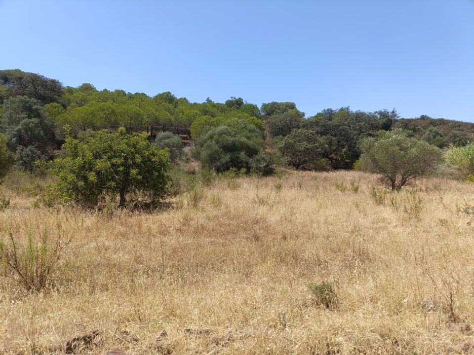 Helårsgrund i Castro Marim, Faro - foto 3