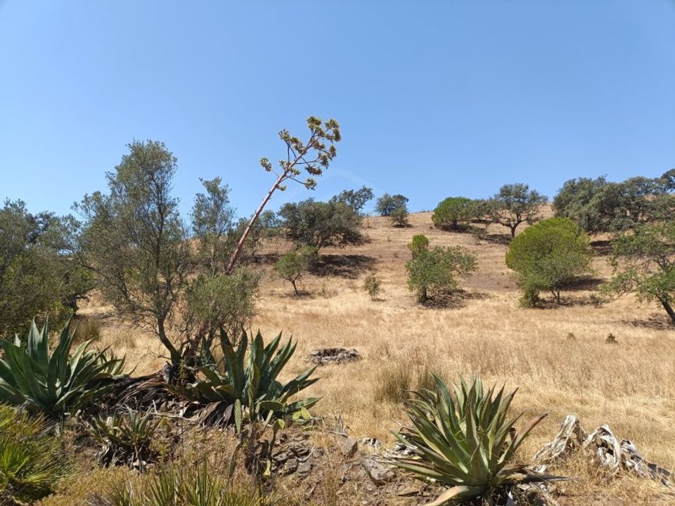 Helårsgrund i Castro Marim, Faro - foto 5
