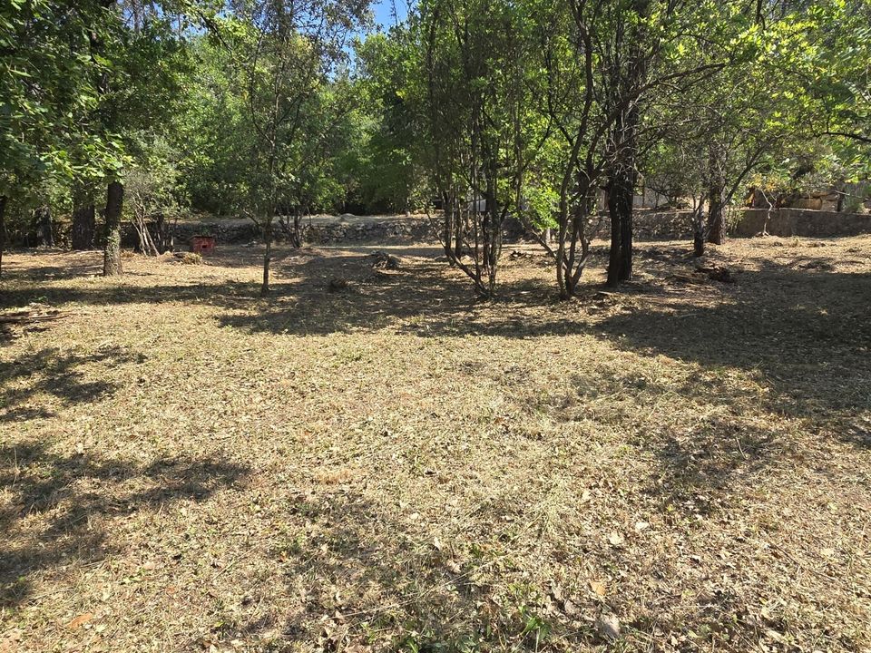 Land in Néoules, Var - photo 1