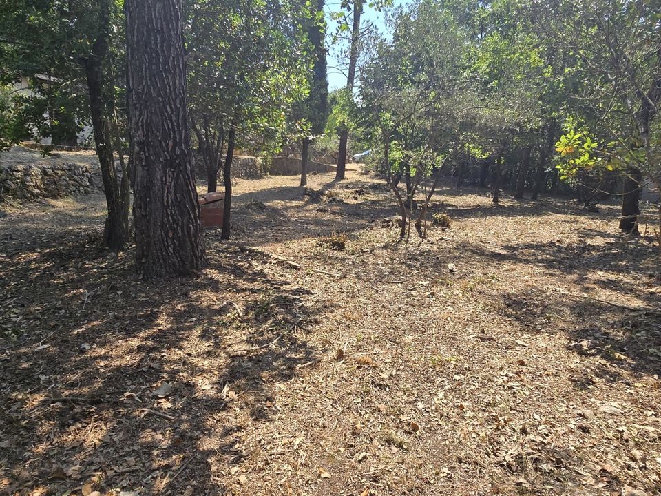 Land in Néoules, Var - photo 2