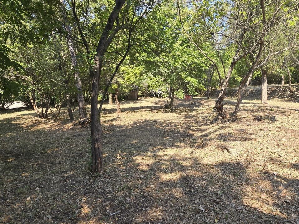 Land in Néoules, Var - photo 3