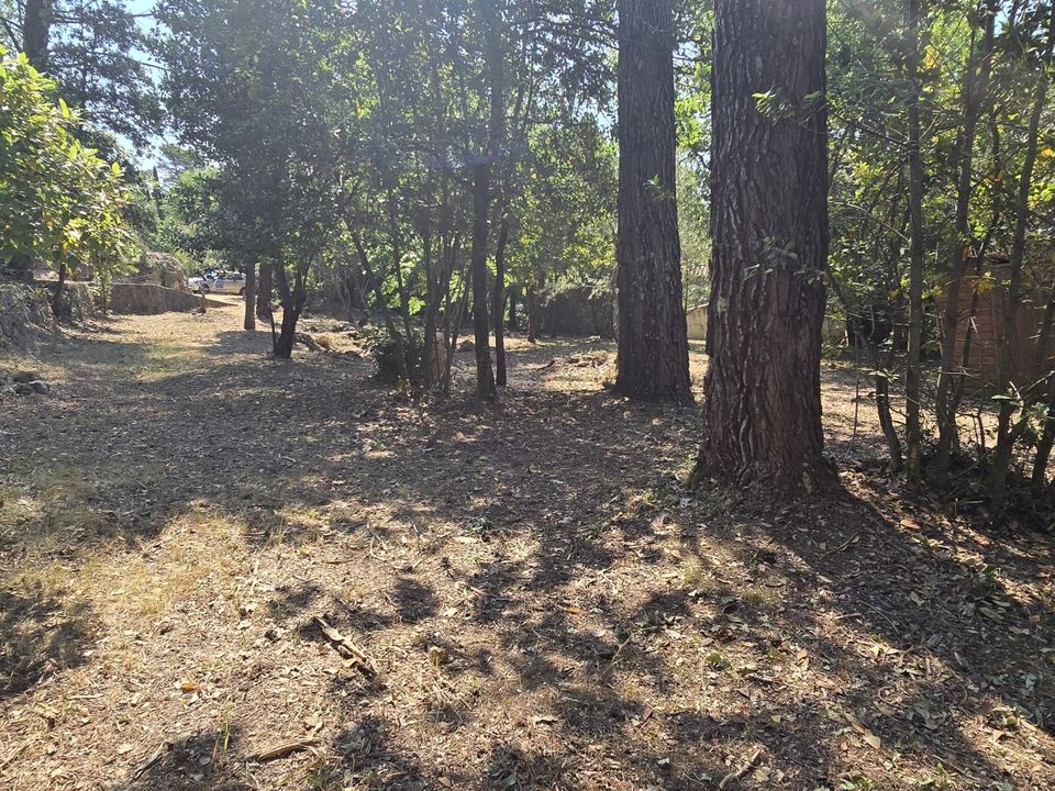 Land in Néoules, Var - photo 4