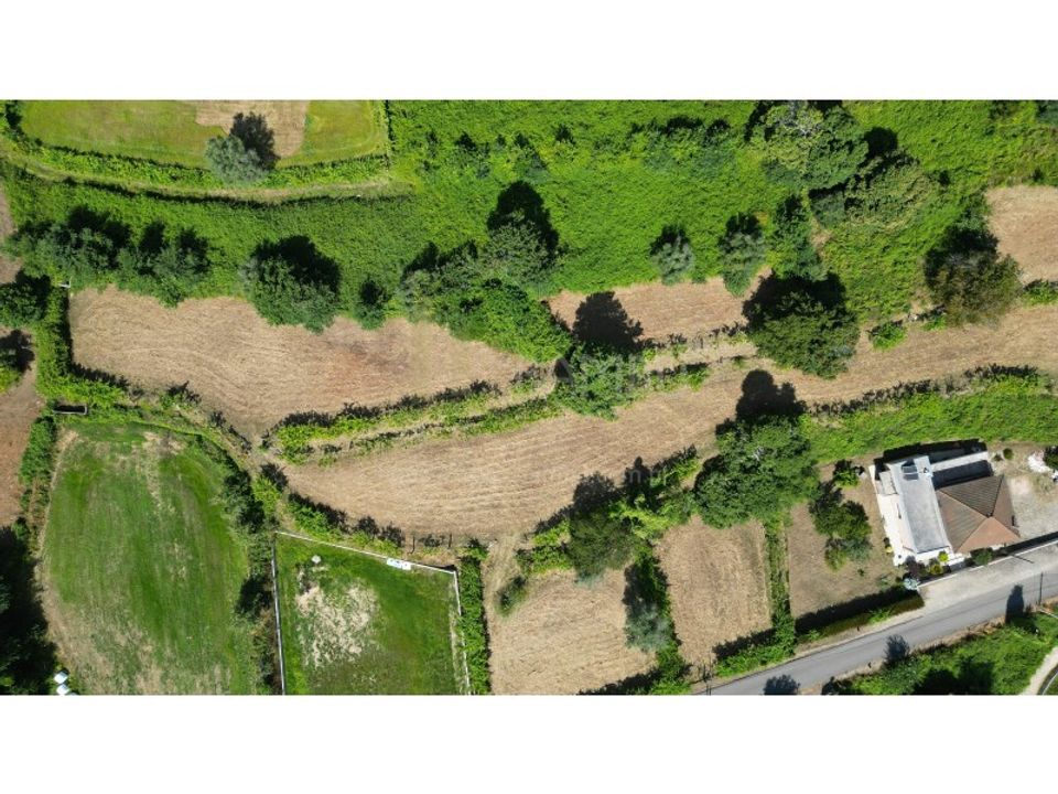 Terrain - Valenca, Viana do Castelo - photo 2