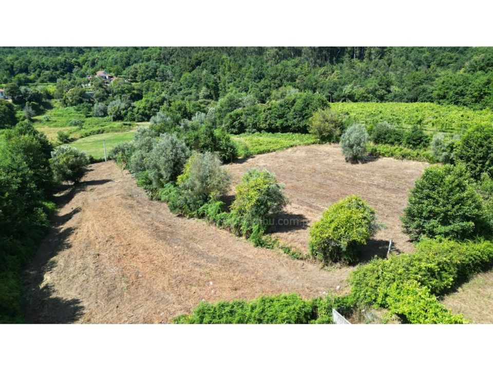 Terrain - Valenca, Viana do Castelo - photo 5