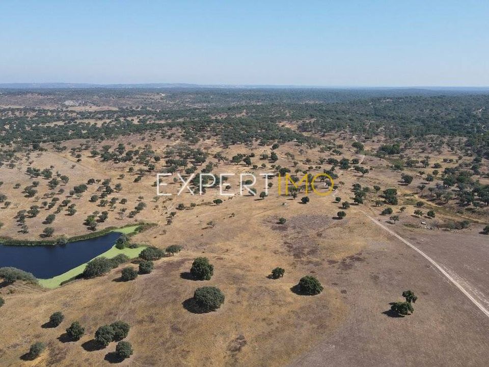Terreno en Mora, Evora - foto 1