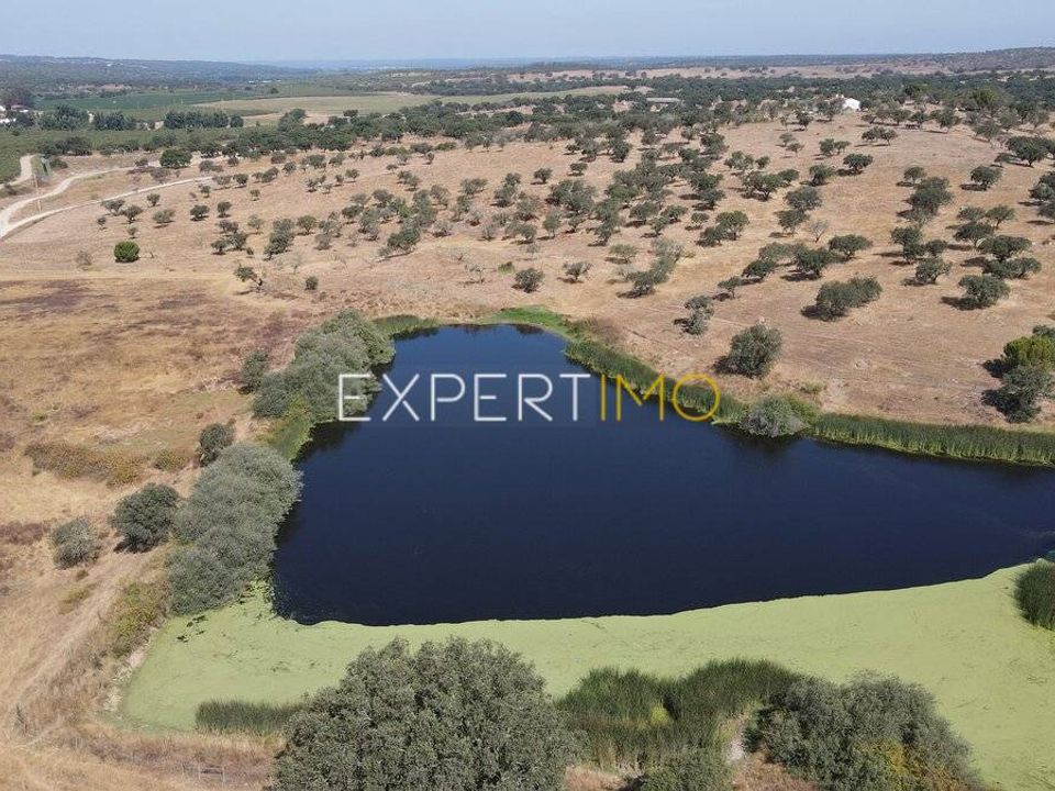 Terreno en Mora, Evora - foto 2