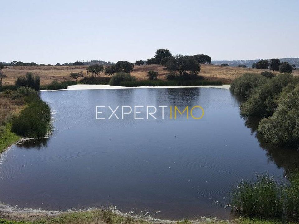 Terreno en Mora, Evora - foto 4