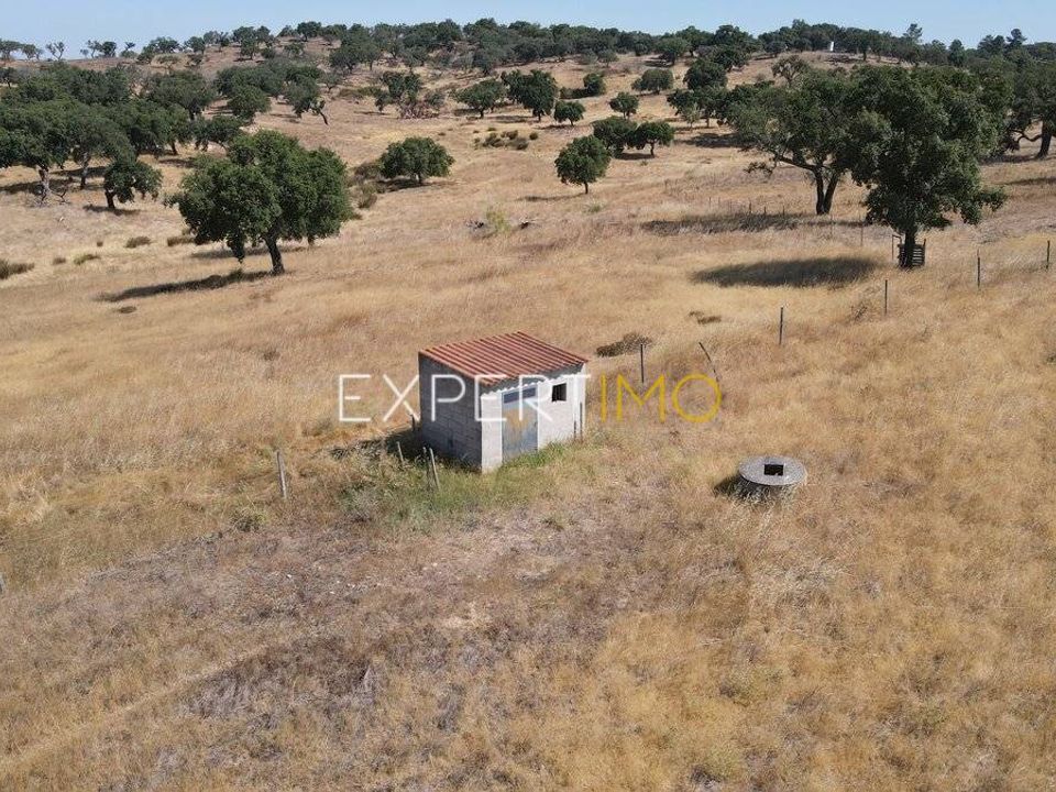 Terreno en Mora, Evora - foto 5