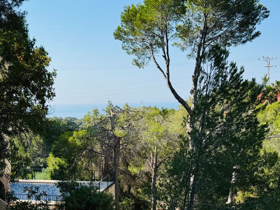 Helårsgrund i Altea, Alicante - foto 1