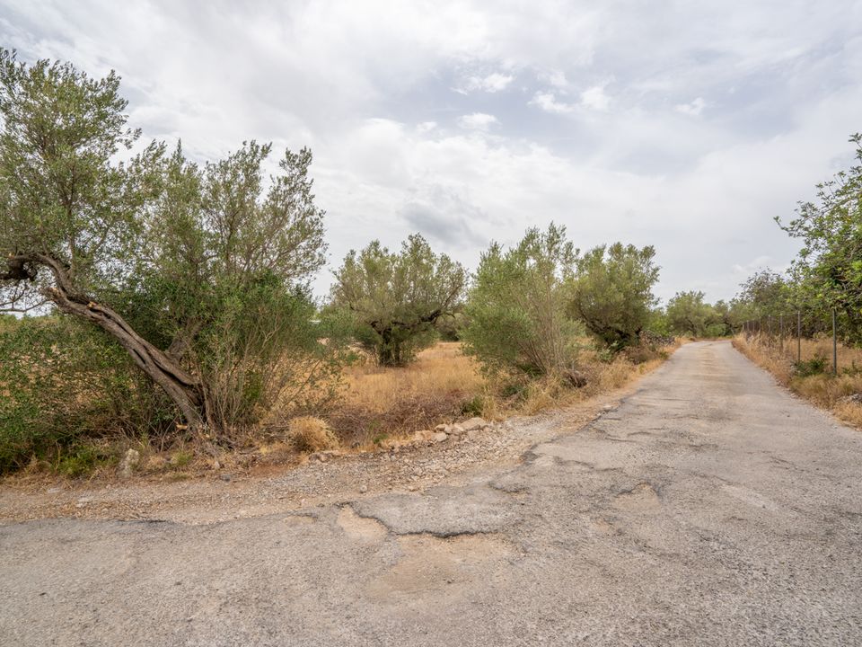 Finca a Roquetes, Tarragona - foto 4