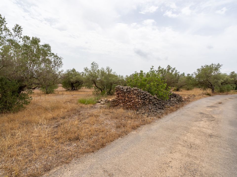 Finca a Roquetes, Tarragona - foto 3