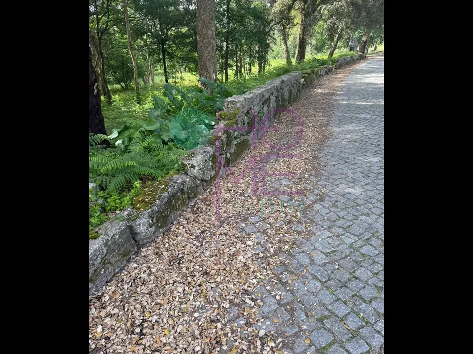 Helårsgrund i Santo Tirso, Porto - foto 3