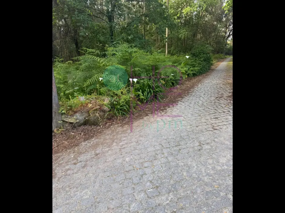 Helårsgrund i Santo Tirso, Porto - foto 3