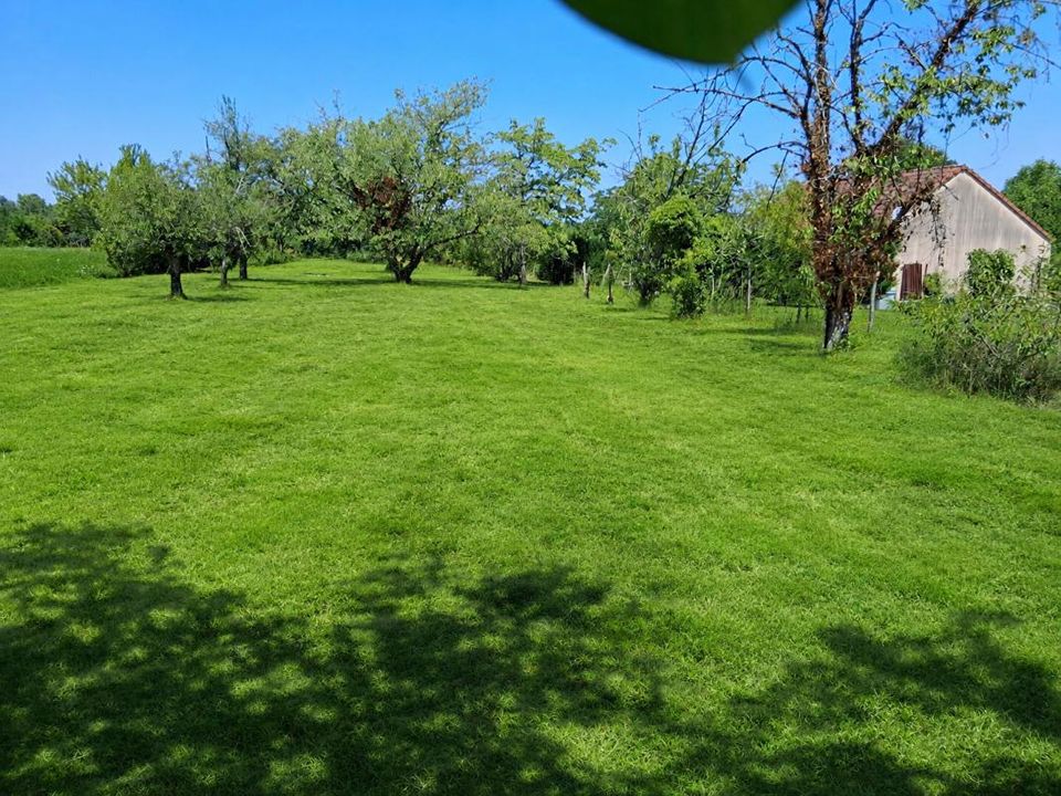 Helårsgrund i Carisey, Yonne - foto 2