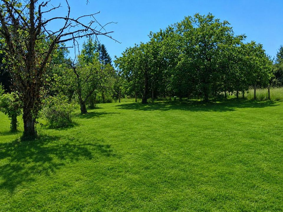 Helårsgrund i Carisey, Yonne - foto 3