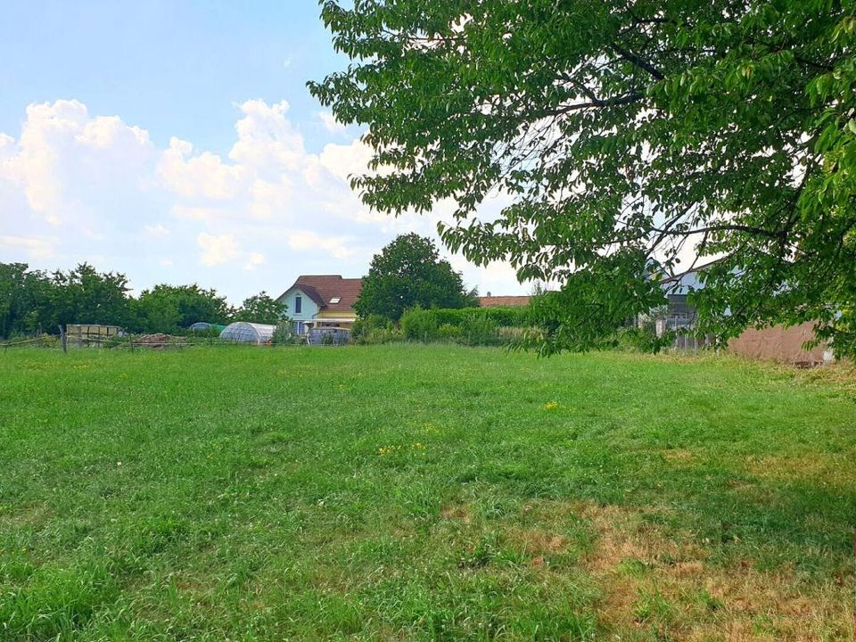 Terreno en Phaffans, Territoire de Belfort - foto 1