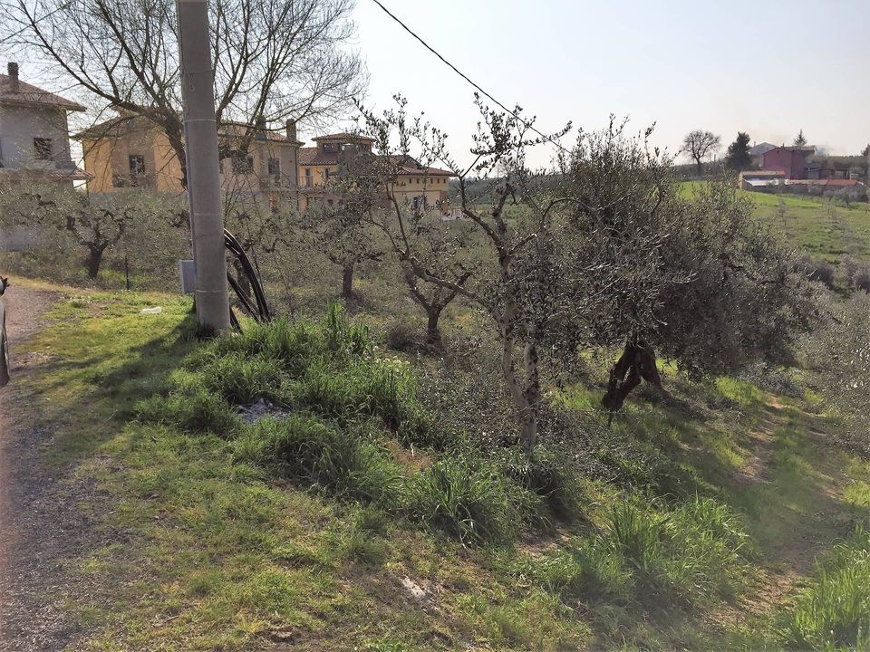 Helårsgrund i Vasto, Chieti - foto 2