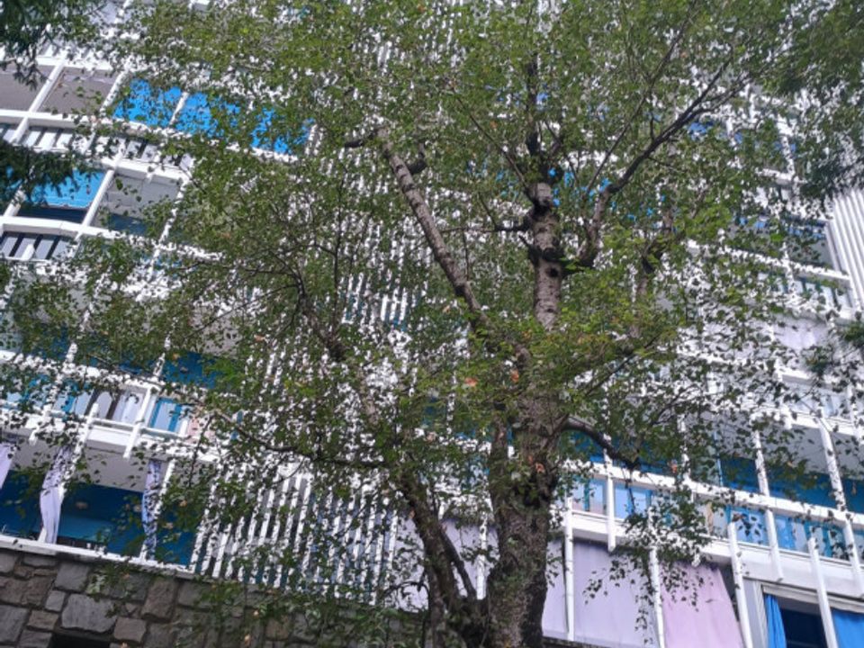 Kommersiell fastighet i Collegno, Turin - foto 4
