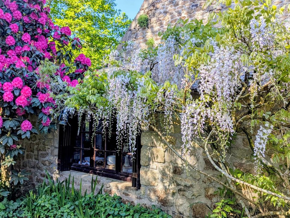 Casa di campagna Bubry, Morbihan - foto 4