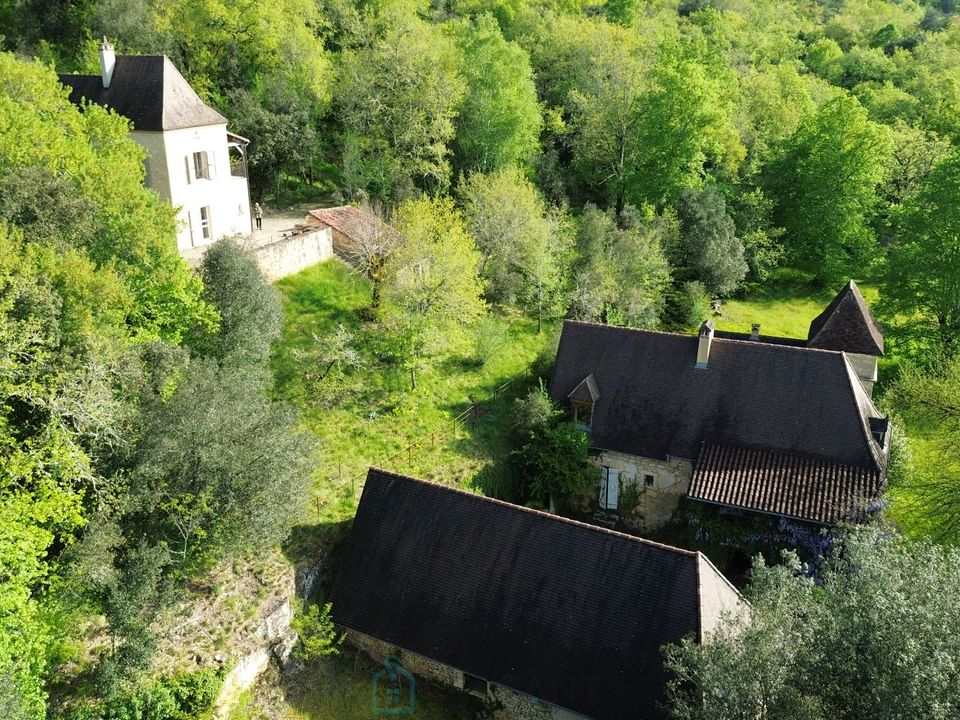 Villa em Saint-Leon-Sur-Vezere, Dordogne - foto 3