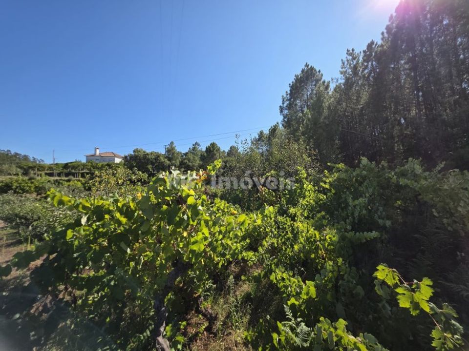Helårsgrund i Serra, Santarem - foto 3