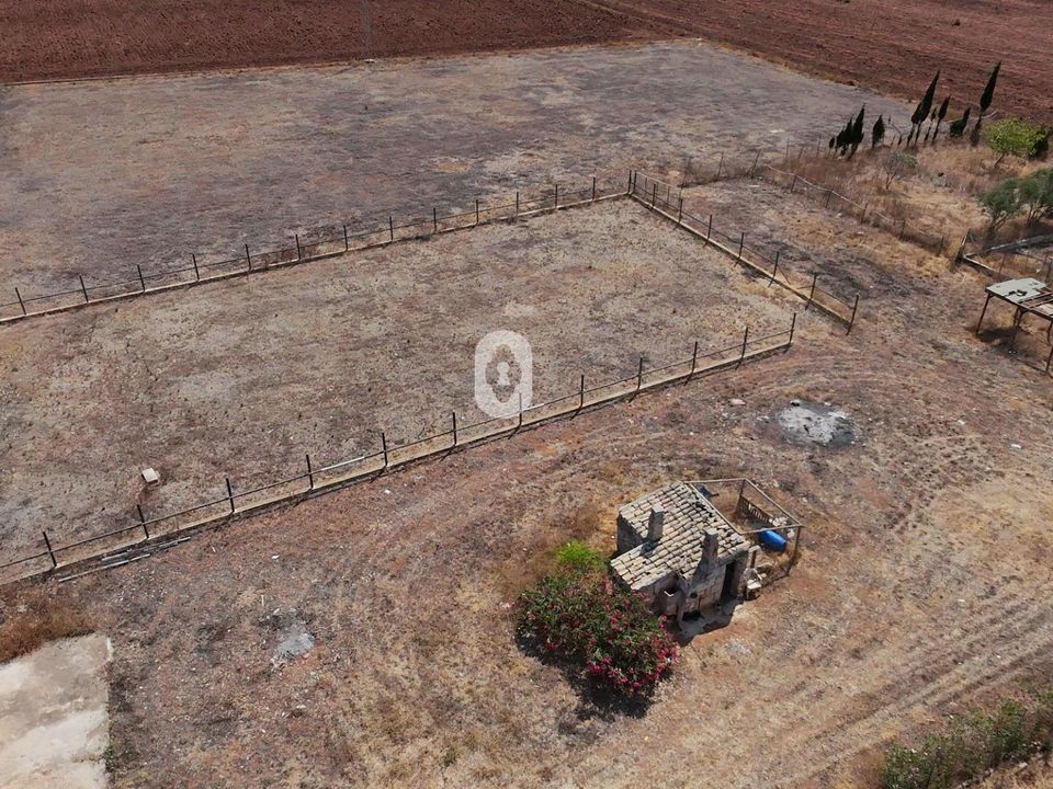 Terra a Sa Pobla, Mallorca - foto 1