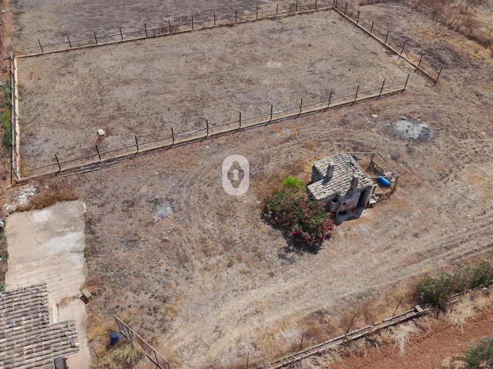 Terra a Sa Pobla, Mallorca - foto 4