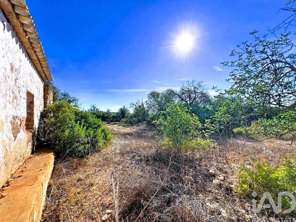 Gård i Albufeira, Faro - bilde 1