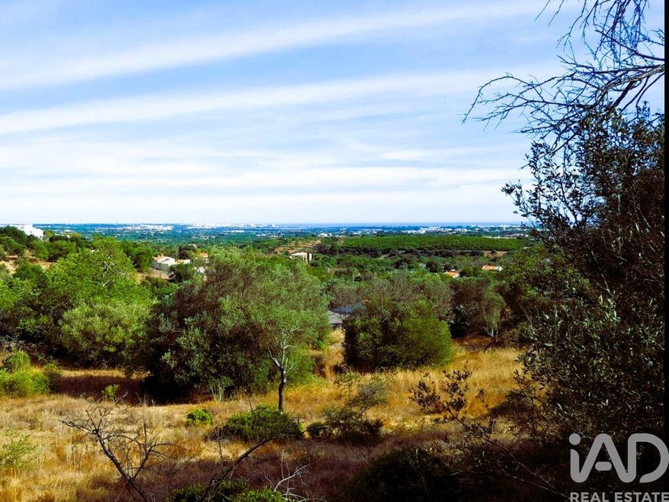 Gård i Albufeira, Faro - bilde 3