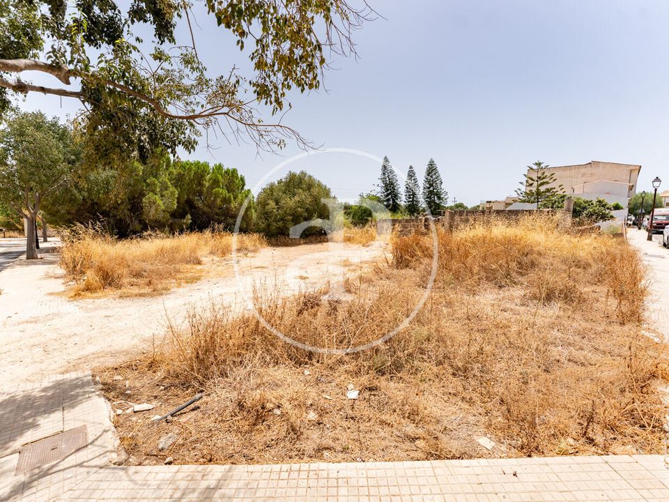 Helårsgrund i Binissalem, Mallorca - foto 2