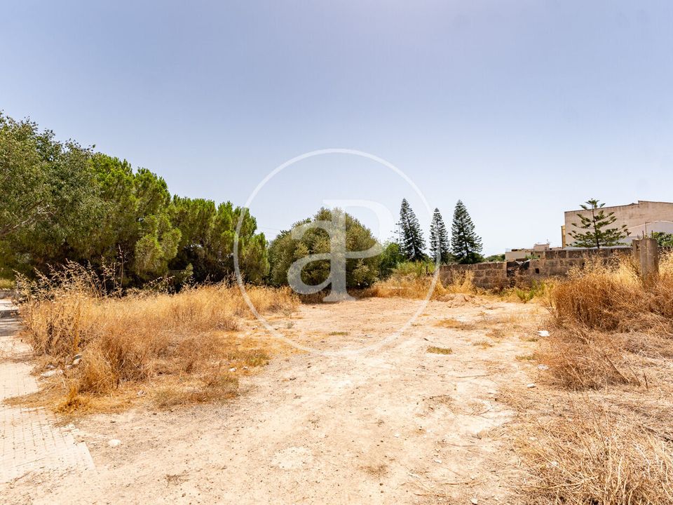 Helårsgrund i Binissalem, Mallorca - foto 3