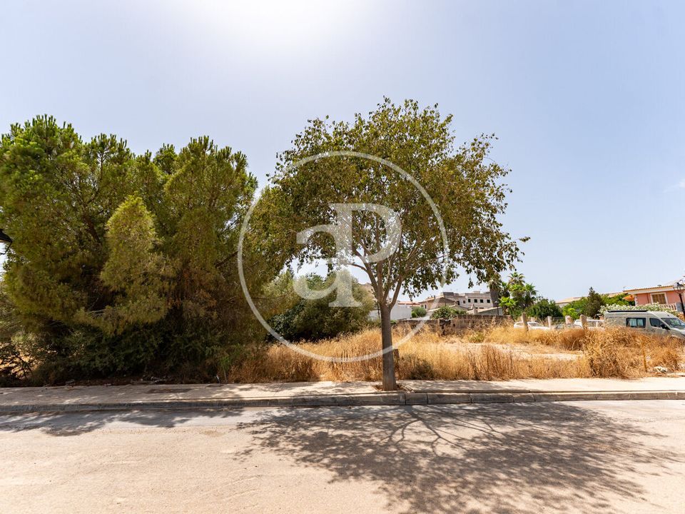 Helårsgrund i Binissalem, Mallorca - foto 4