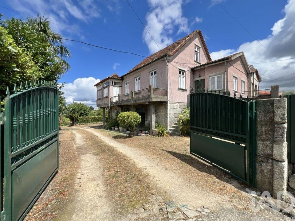 Gospodarstwo: Nelas, Viseu – zdjęcie 1
