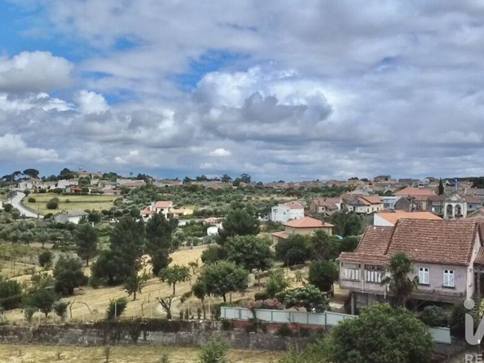 Gospodarstwo: Nelas, Viseu – zdjęcie 2