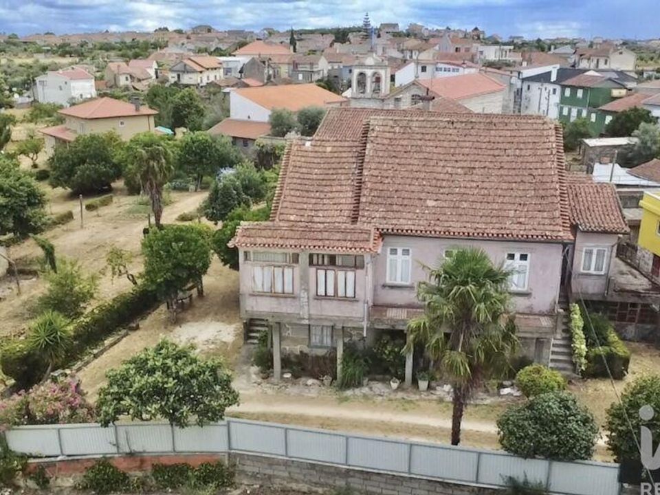 Gospodarstwo: Nelas, Viseu – zdjęcie 4