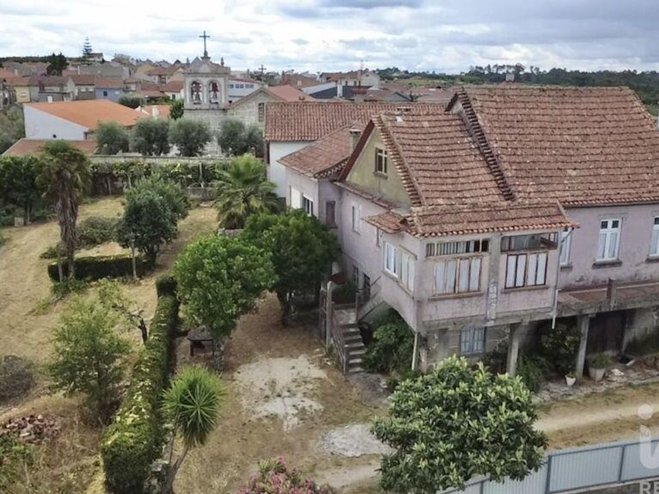 Gospodarstwo: Nelas, Viseu – zdjęcie 5