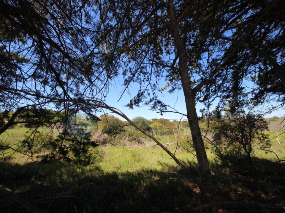 Terrain - Luz, Faro - photo 5