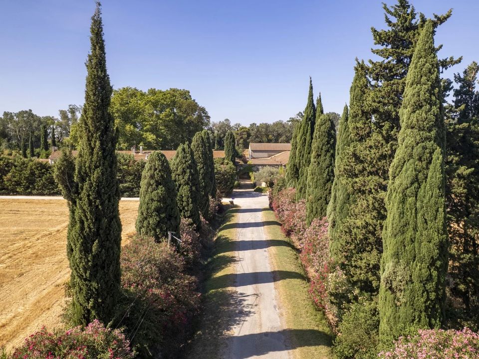 Villa - Fourques, Gard - photo 3
