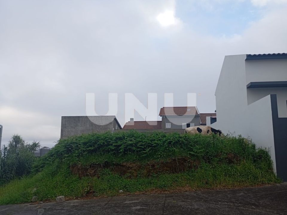 Helårsgrund i Ponta Garça, Sao Miguel - foto 3