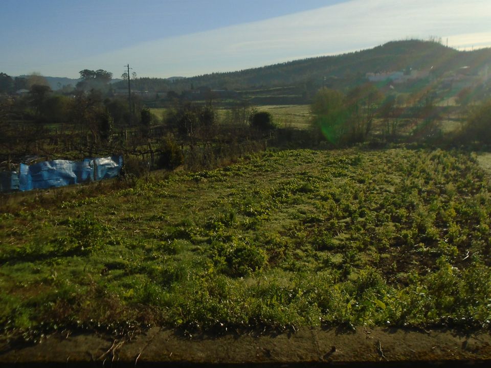 Tomt i Valongo, Porto - bilde 3