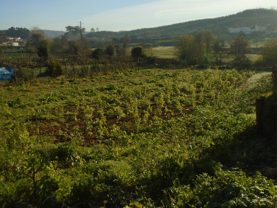 Tomt i Valongo, Porto - bilde 5