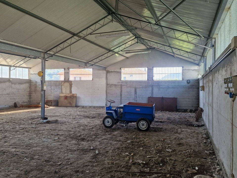 L'establiment comercial a Camporosso, Imperia - foto 1