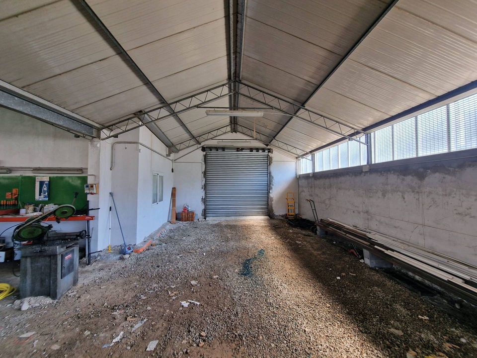 L'establiment comercial a Camporosso, Imperia - foto 2
