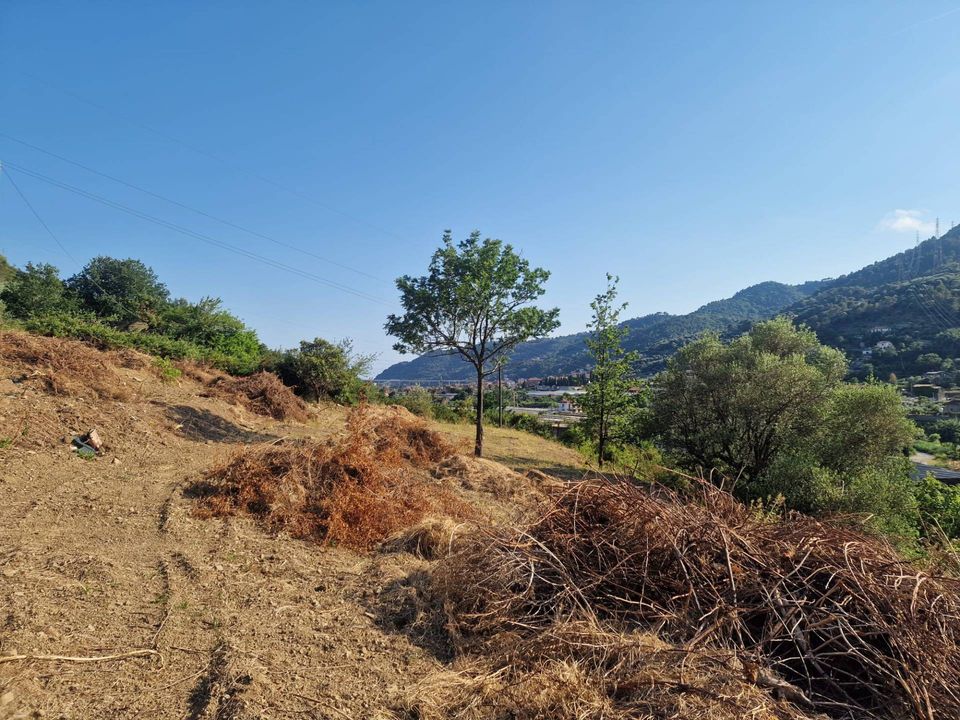 Terra a Camporosso, Imperia - foto 1