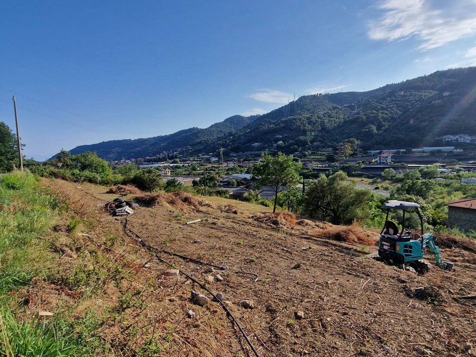 Terra a Camporosso, Imperia - foto 2