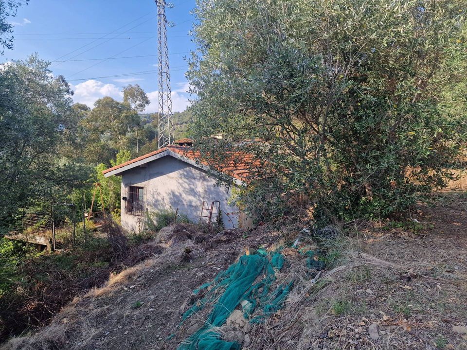 Terra a Camporosso, Imperia - foto 3